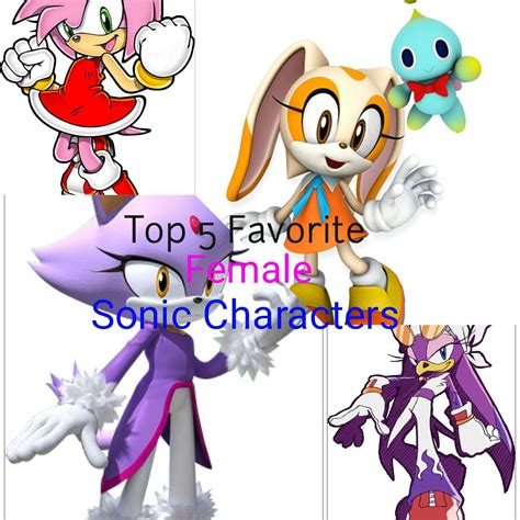 Top 5 Favorite Female Sonic Characters Sonic The Hedgehog Amino