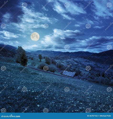 Village On Hillside Meadow With Forest In Mountain At Night Stock Photo