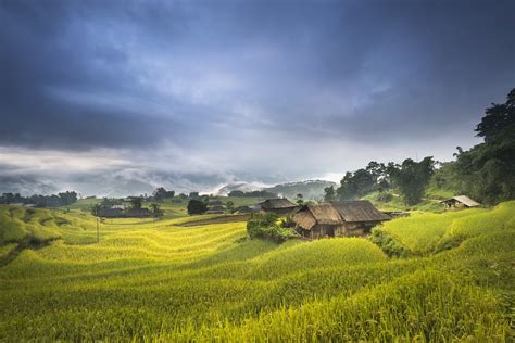 Vietnam Terraces Rice Free Photo On Pixabay