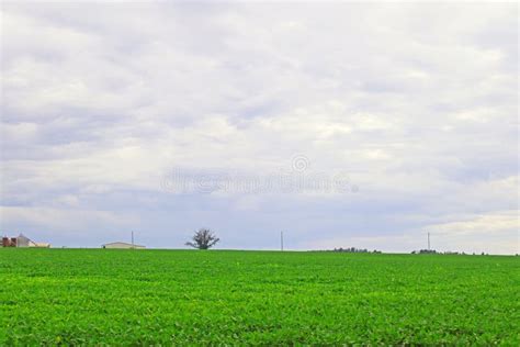 A Beautiful Farm With Clouds Stock Image Image Of Nature Field