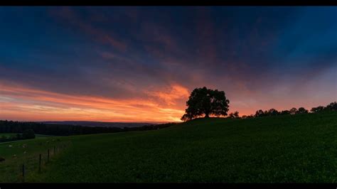 Nature Time Lapse Stock Video Surreal Video Clips Tree At Sunset