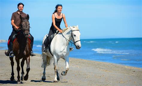 Beach Horseback Riding Amber Cove Shore Excursion Caribbean Cruise