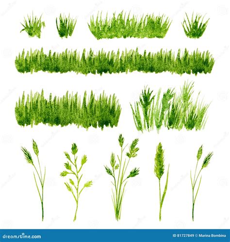 Watercolor Green Grass Set On White Background Stock Image