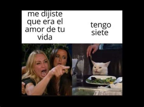 Meme del gato - Fotos de amor & Imagenes de amor