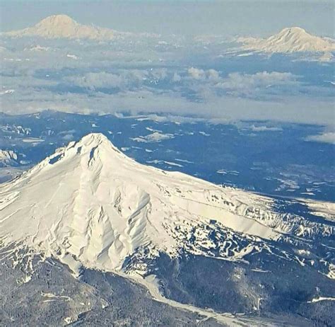 Only In Washington Mt Hood Mt Adams Mt Rainier Naturaleza