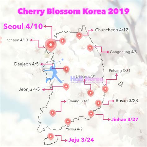 2019 Cherry Blossom Forecast