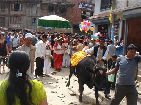 Gai Jatra Festival Nepal Honoring The Past And Laughing At The Present