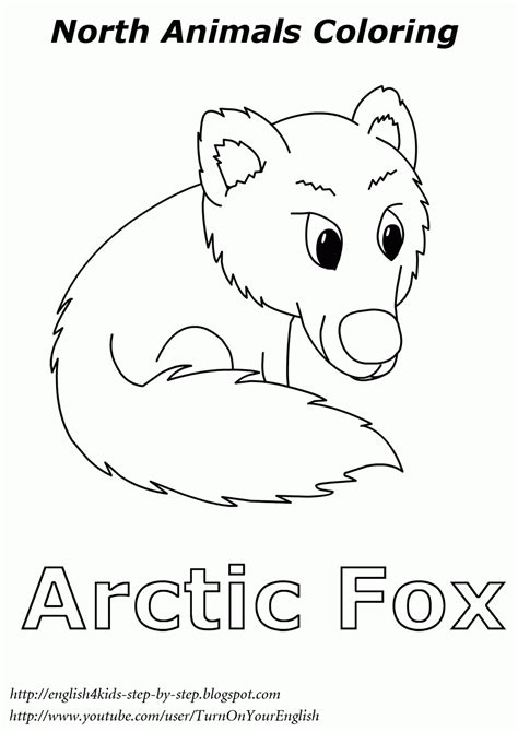 This arctic animals printable pack includes the arctic fox, arctic hare, penguin, puffin, harp seal or how the incredible hearing of the arctic fox allows them to locate the precise position of their prey beneath the snow? Arctic Coloring Page - Coloring Home