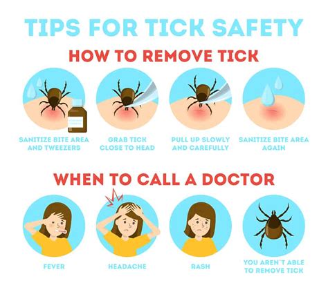 How To Remove A Tick Must Go Camping