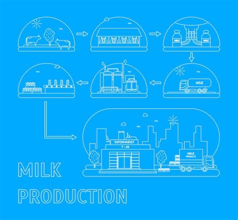 Premium Vector Milk Production Process Vector