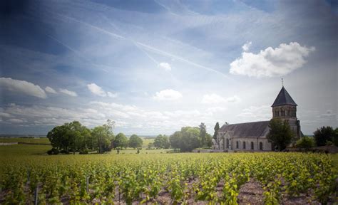 Vignoble Grand Cru Le Mesnil sur Oger. Maison champagne ...