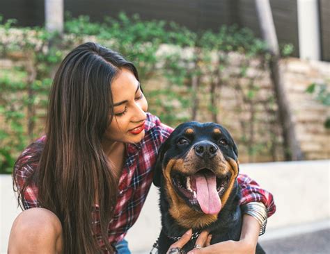 Find the perfect pet sitter near you! Dogs Make Us Happier, and Now We Know Why | Rottweiler, Happy dogs, Rottweiler puppies