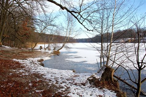 Free Images Landscape Tree Water Nature Wilderness Branch Snow