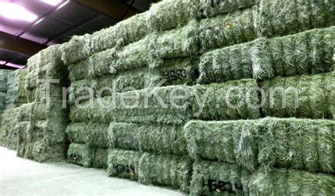 Alfalfa Hay By Global Care International Ltd Kenya