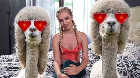 Lyra Law On The Magic Of Valentines Day Llamas Video Dailymotion