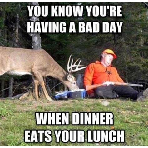 Funny Quotes About Hunting Deer Quotesgram