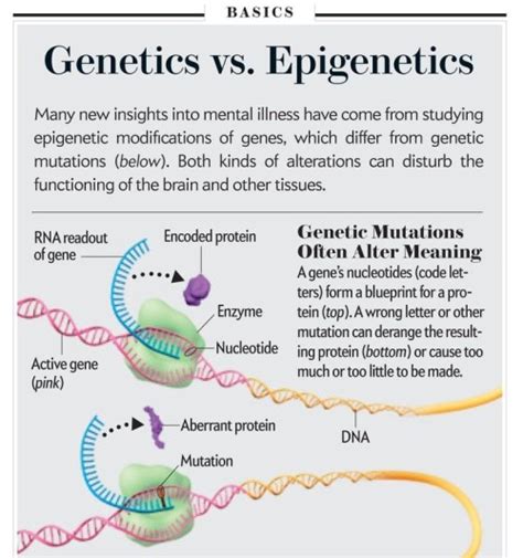 Genetics Vs Genomics