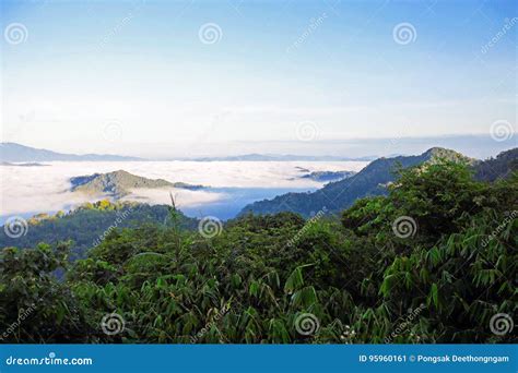 Morning Mist At Tropical Mountain Range Stock Image Image Of View