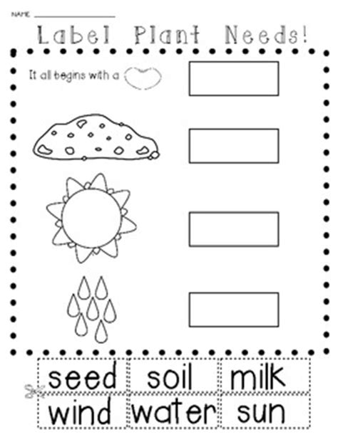 Science: Plants and Seeds {Let's Label It!} Cut and Paste Activities