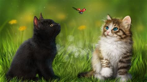Cats And Butterfly Wallpaper Wallpaper Stream