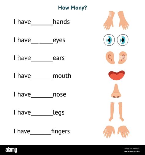 Human body parts puzzle hi-res stock photography and images
