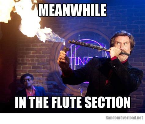 Funny Flute Player Quotes Quotesgram