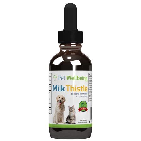 It reduces oxidative damage to kidney cells so it may be helpful for pets experiencing milk thistle for dogs is very rare possibly even not available here in the philippines. Pet WellBeing - Milk Thistle foe Cat Liver disease ...