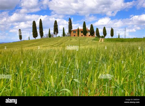 Farm House In Val Dorcia Pienza Tuscany Italy Stock Photo Alamy