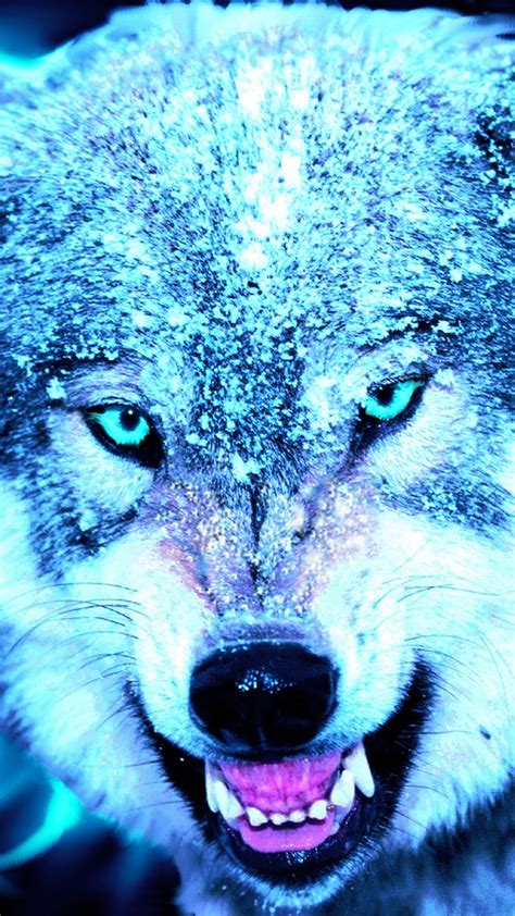 A collection of the top 46 cool wolf wallpapers and backgrounds available for download for free. Cool Wolf Wallpaper iPhone | 2020 3D iPhone Wallpaper