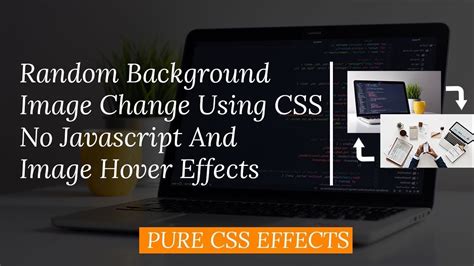 Image Hover, Animation with Cool effect Using CSS, HTML ...