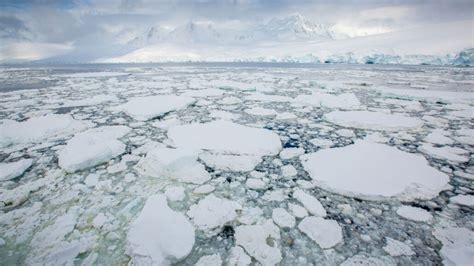 From Science News Antarctic Sea Ice Has Been Hitting Record Lows
