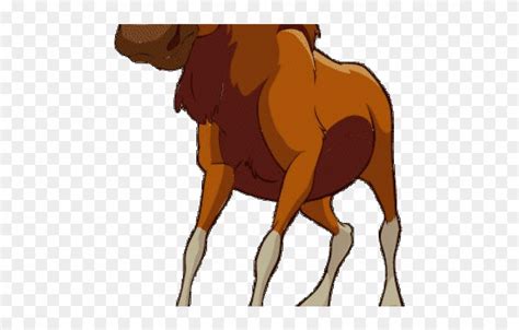 Moose Clipart Muscle Moose Muscle Transparent Free For Download On