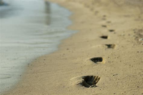 Footprints In Wet Beach Sand 6011 Stockarch Free Stock Photo Archive