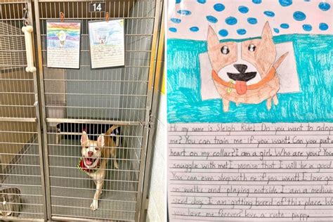 2nd Graders Write Letters On Behalf Of Shelter Dogs To Help Them Get