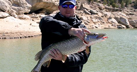 Enchanted Hideaway San Juan River Trout Fishing On The Quality Waters