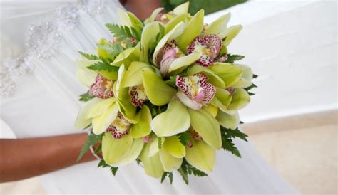 Prices start at $100 usd per night. Emerald Glow Wedding Bouquet | Jamaican wedding, Jamaica ...