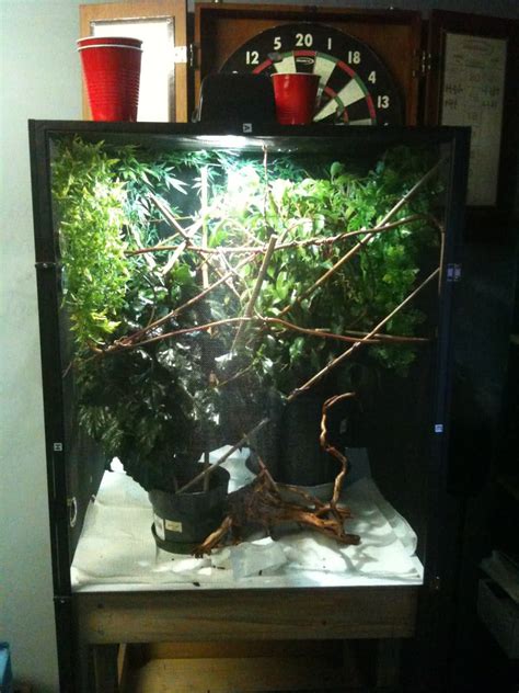 veiled chameleon habitat | Chameleon Enclosures | Veiled chameleon