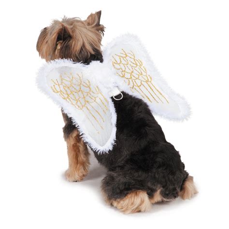Zack And Zoey Angel Wing Dog Harness Costume The Animal Rescue Site