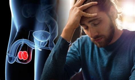 Testicular Cancer Symptoms Signs Of The Condition Pain Lump Or Swelling In Testicles