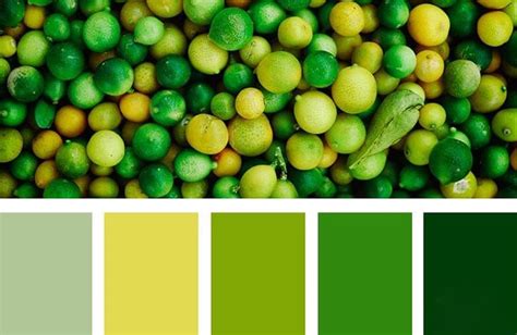 Оттенки зеленого: что известно о цвете, как его получить, удачные сочетания | В мире краски