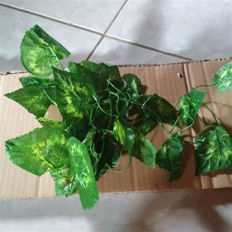We did not find results for: Daftar Harga Daun Rambat Daun Plastik Terbaru 2018 Cek ...