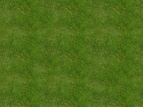 Free Seamless Grass Texture Nature Grass And Foliage Textures For