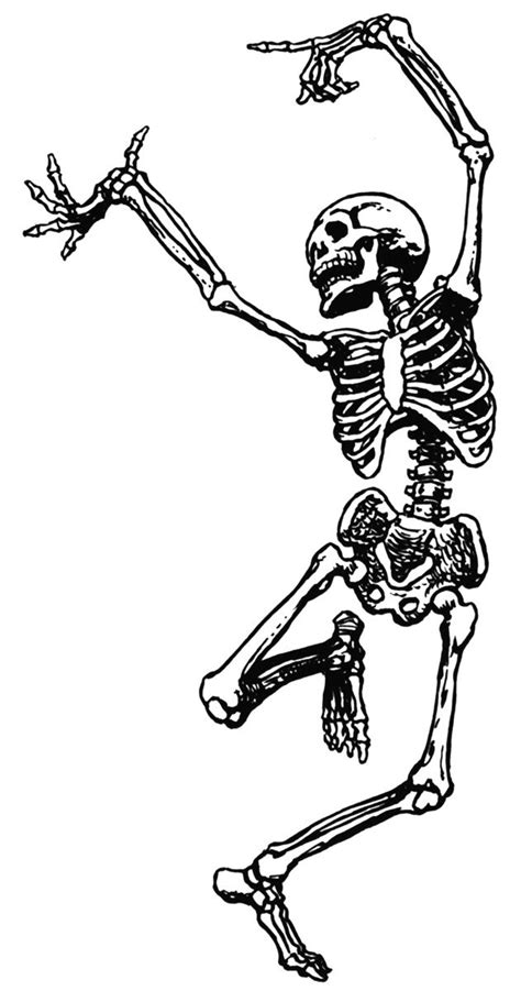 Skeleton png you can download 38 free skeleton png images. Danse macabre clipart 20 free Cliparts | Download images ...