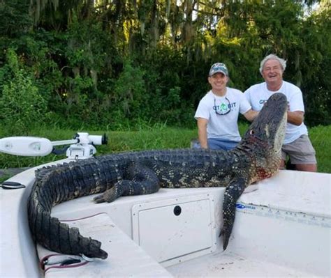 Warren Yadon Trophy Florida Gator Hunting By Get Bit Outdoors