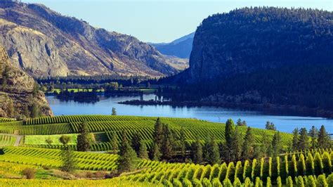 Explore British Columbias Okanagan Region With These 14 Wineries
