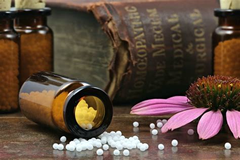 List Of Popular Homeopathic Remedies Homeopathic Doctors