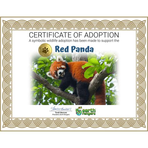 Red Panda Adoption Kit