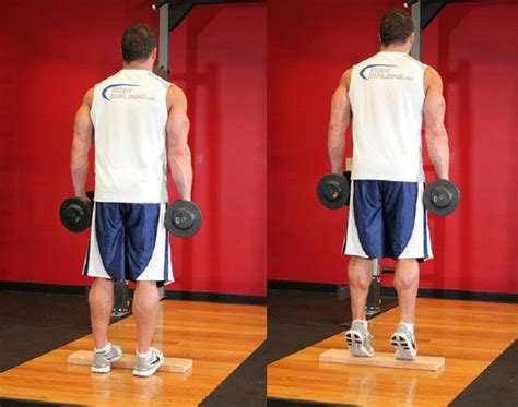 Standing Dumbbell Calf Raise To Develop Calf Muscles The Complete