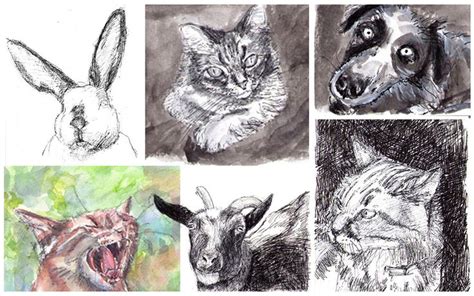 Get A Free Drawing Of Your Pet Like Onedrawingdaily On Facebook Or