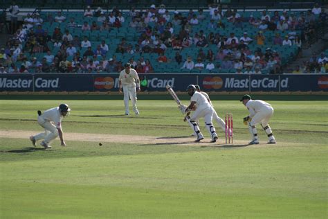 File:Pm cricket shots09 6097.jpg - Wikimedia Commons